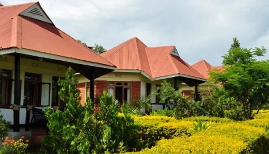 Bougainvillea Safari Lodge