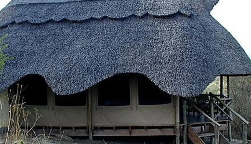 Wild Africa Lodge