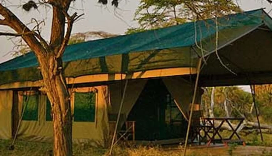 Lake Manze Camp