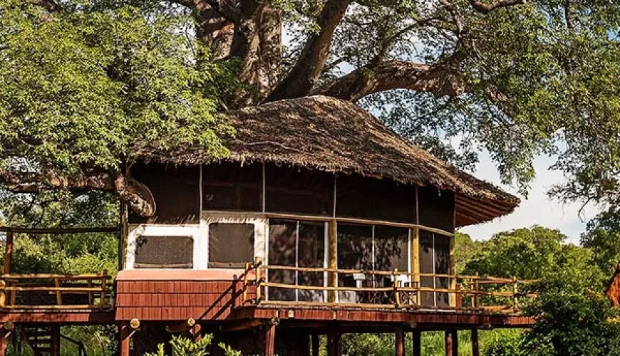 Tarangire treetops lodge