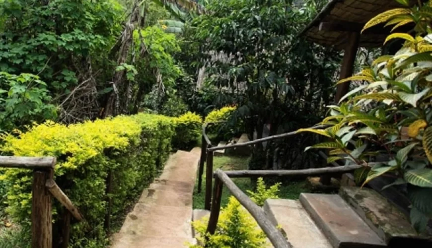 Lake Kitandara Bwindi Camp