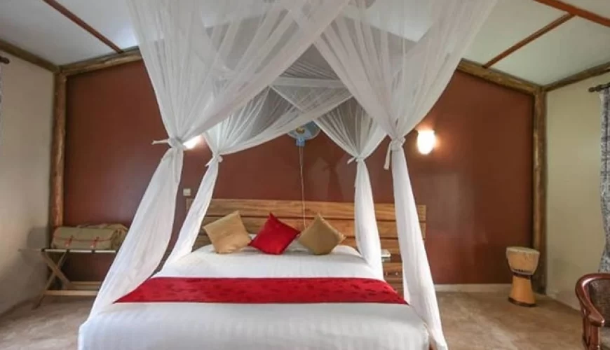 Pakuba Safari Lodge