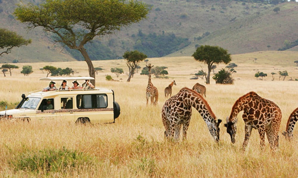 Kenya Safari