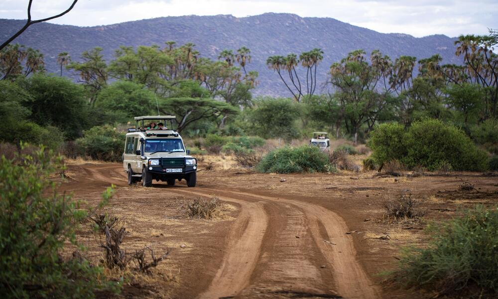 Spots In Kenya