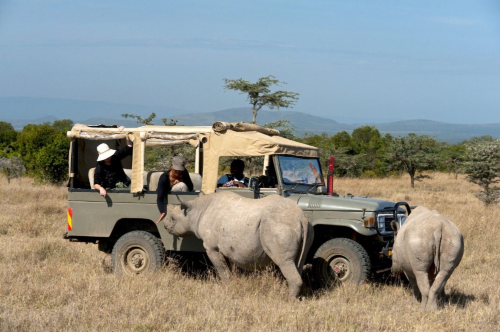 Safari To Kenya