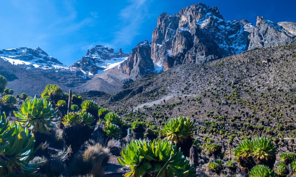 Mount Kenya