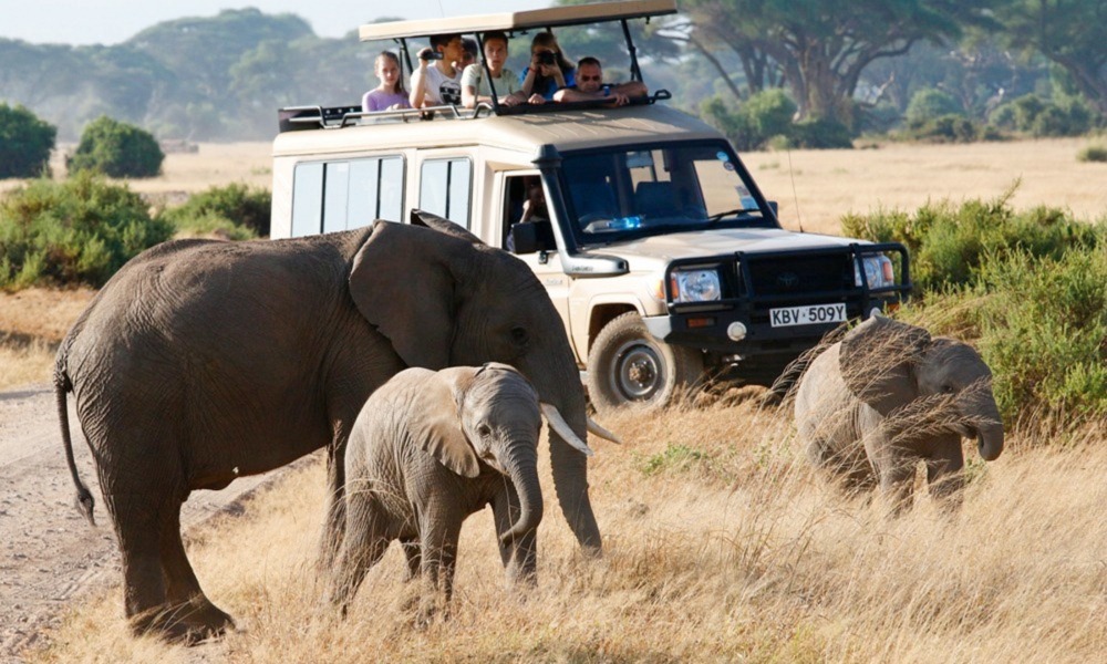 Kenya Safari Tour